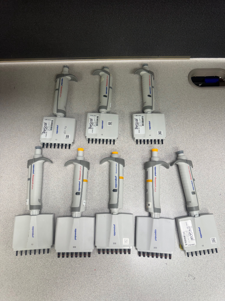 Image of Eppendorf Research Plus Multichannel Pipettes